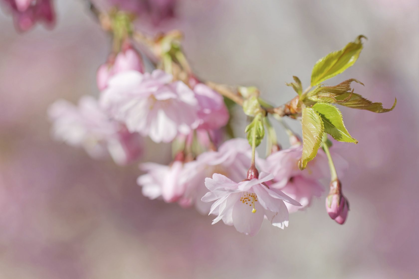 iStock_92104835_MEDIUM.jpg